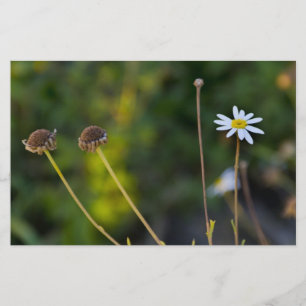 Bloemen Briefpapier