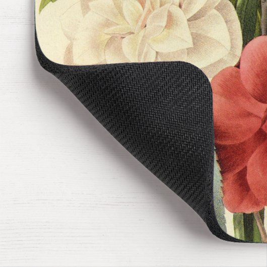  bloemen, Camellias en Narcissus, Redoute Muismat (Hoek)