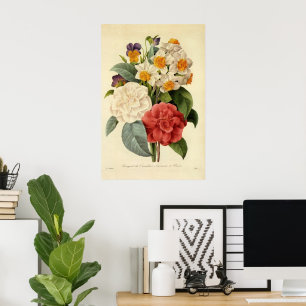 bloemen, Camellias en Narcissus, Redoute Poster