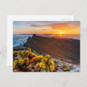 Bloemen | Canarische Eilanden, Spanje Briefkaart (Voorkant / Achterkant)