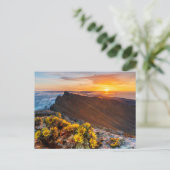 Bloemen | Canarische Eilanden, Spanje Briefkaart (Staand voorkant)