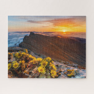 Bloemen Canarische Eilanden, Spanje Legpuzzel