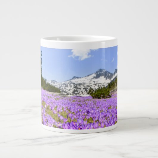 Bloemen | Crocus Pirin Mountain Park Bulgarije Extra Grote Beker (Voorkant)