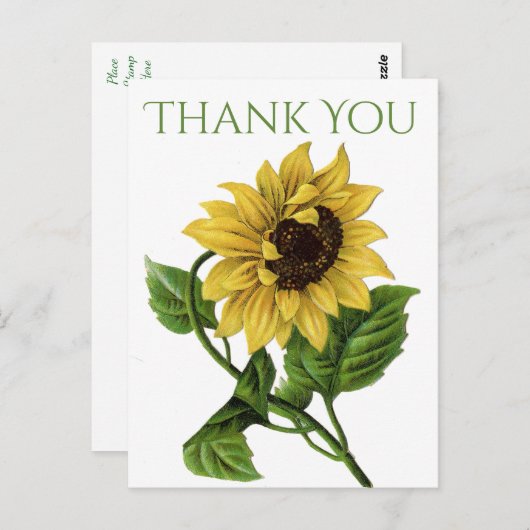  Bloemen Dank u Gele Zonnebloemen Briefkaart (Voorkant / Achterkant)