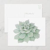 Bloemen Dank u Mint Groene Sappige Cactus Briefkaart (Voorkant / Achterkant)