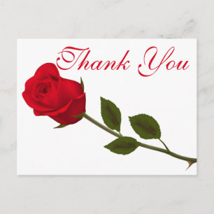 Bloemen Dank u rode rozenbloem Briefkaart