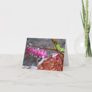 Bloemen de van de Kaart van de nota Roze & Witte
