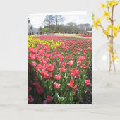 bloemen, denken aan jou kaart (Gele Bloem)