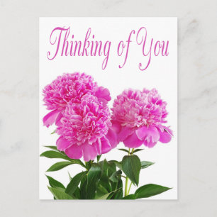 Bloemen denken aan u roze pioenroos Briefkaart