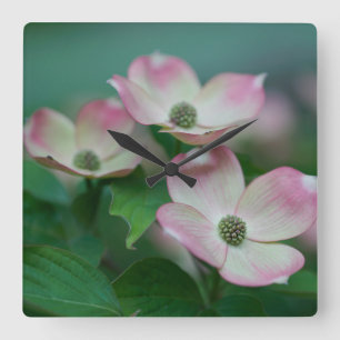 Bloemen Dogwood Blossom Vierkante Klok