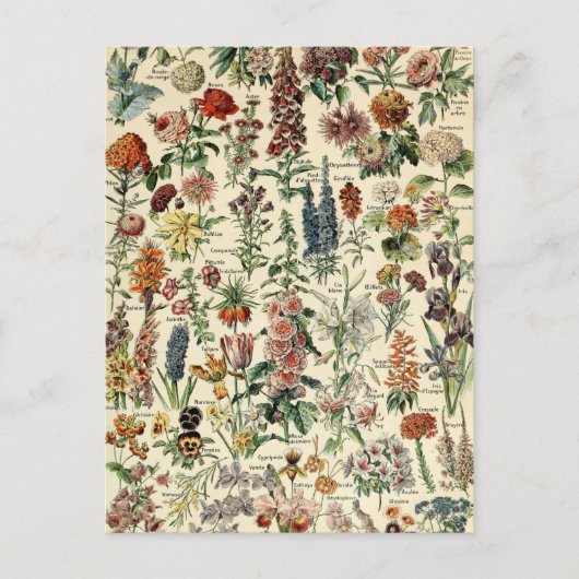  bloemen door Adolphe Millot Briefkaart (Voorkant)