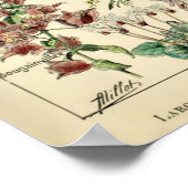  bloemen door Adolphe Millot Poster (Hoek)