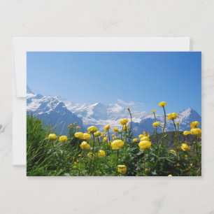 Bloemen   Eiger Monch Swiss Alps Bedankkaart