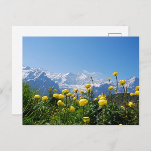 Bloemen | Eiger Monch Swiss Alps Briefkaart (Voorkant / Achterkant)