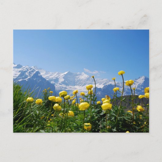 Bloemen | Eiger Monch Swiss Alps Briefkaart (Voorkant)