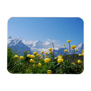 Bloemen Eiger Monch Swiss Alps Magneet
