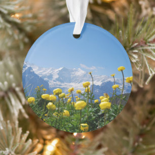 Bloemen Eiger Monch Swiss Alps Ornament