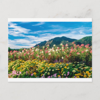 bloemen en bloemen briefkaart