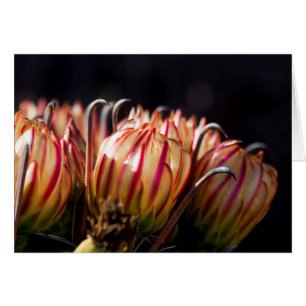 Bloemen en bommen