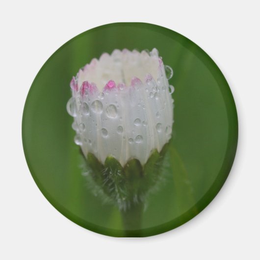 Bloemen en druppels voor water magneet (Voorkant)