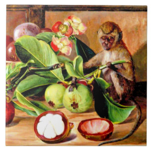 Bloemen en fruit van Mangosteen; Singapore Monkey Tegeltje