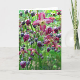 bloemen en knoppen Spring Photo Moederdag Kaart