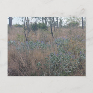 Bloemen en penseel briefkaart