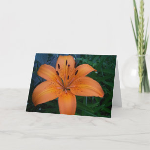 Bloemen en Planten Kaart