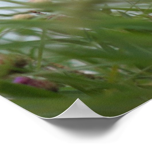 Bloemen en poster van onkruid (Hoek)