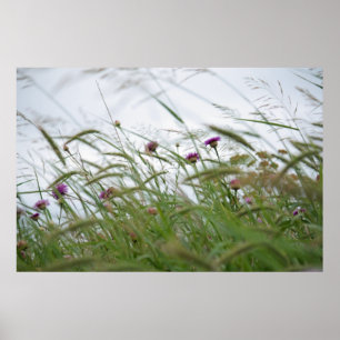 Bloemen en poster van onkruid