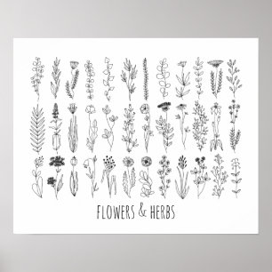 Bloemen en Poster voor inkttekening