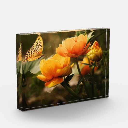 Bloemen en vlinder fotoblokken (Links)