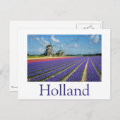 Bloemen en windmolens in Holland, tekst briefkaart (Voorkant / Achterkant)