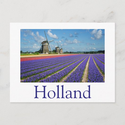 Bloemen en windmolens in Holland, tekst briefkaart (Voorkant)