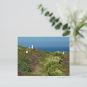 Bloemen en zeegarens op Anacapa Briefkaart (Staand voorkant)