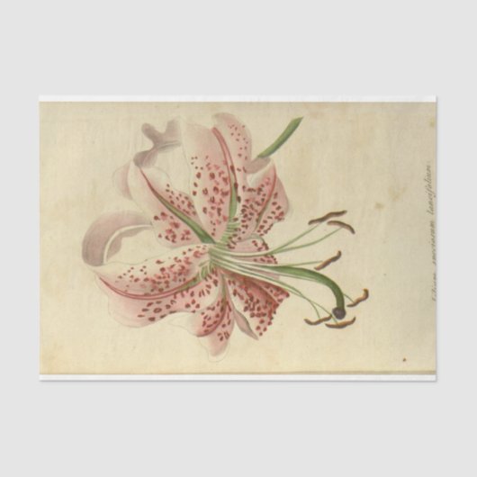 Bloemen Ephemera Decoupage Roze Bloemen Tissuepapier (Voorkant)