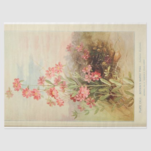 Bloemen Ephemera Decoupage Roze Daisy Tissuepapier (Voorkant)