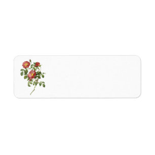 bloemen Floral Red Rose of Love van Redoute Etiket