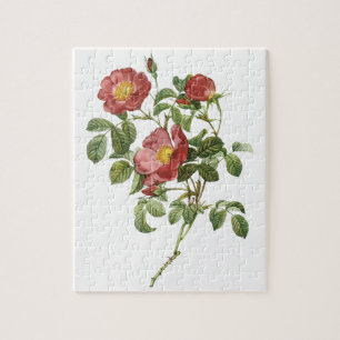  bloemen Floral Red Rose of Love van Redoute Legpuzzel