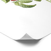 bloemen Floral Red Rose of Love van Redoute Poster (Hoek)