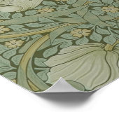 bloemen Floral William Morris Pimpernel Poster (Hoek)