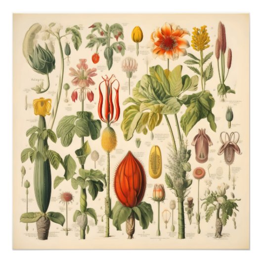 bloemen foto afdruk (Voorkant)