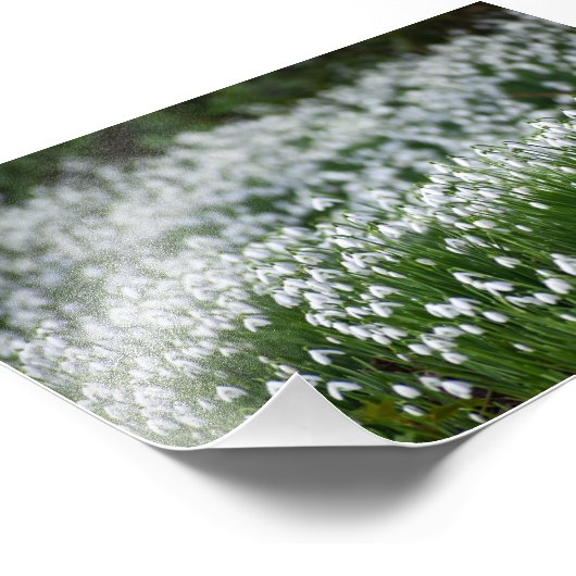 Bloemen Foto Afdruk (Hoek)