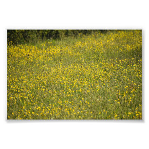 Bloemen Foto Afdruk