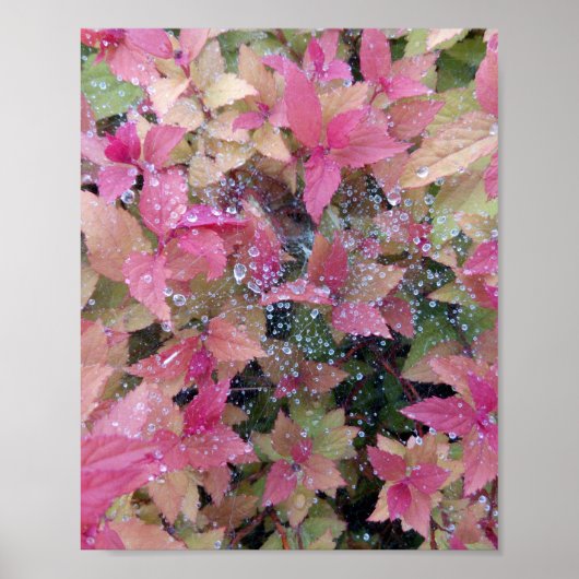 Bloemen foto poster (Voorkant)