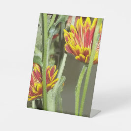 Bloemen Foto Reclamebord Met Voetstuk