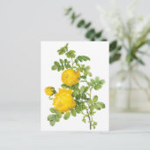  bloemen, gele rozen van Redoute Briefkaart (Staand voorkant)