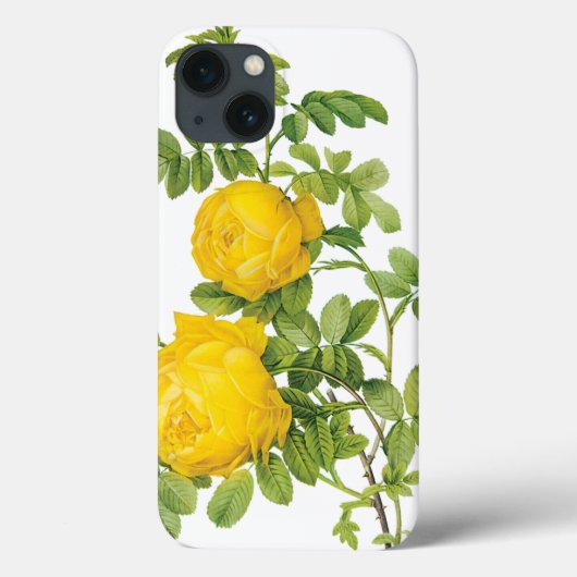 bloemen, gele rozen van Redoute Case-Mate iPhone Case (Achterkant)
