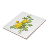 bloemen, gele rozen van Redoute Tegeltje (Zijkant)