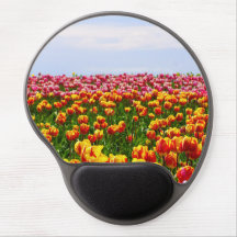 Bloemen gelmuismatje, tulpen en blauwe lucht